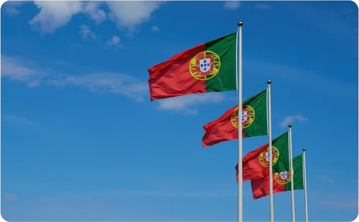 Umzug Portugal Flags